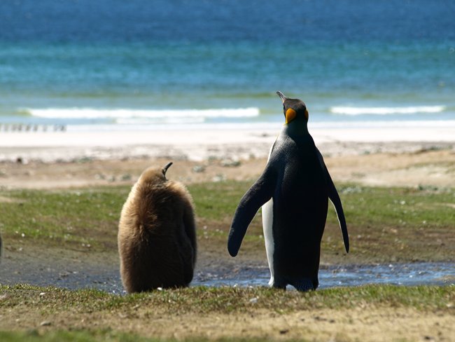 ../../Pictures/241209/043 Koenig.JPG